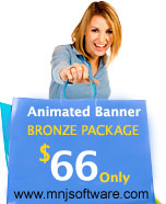Bronze website design package
